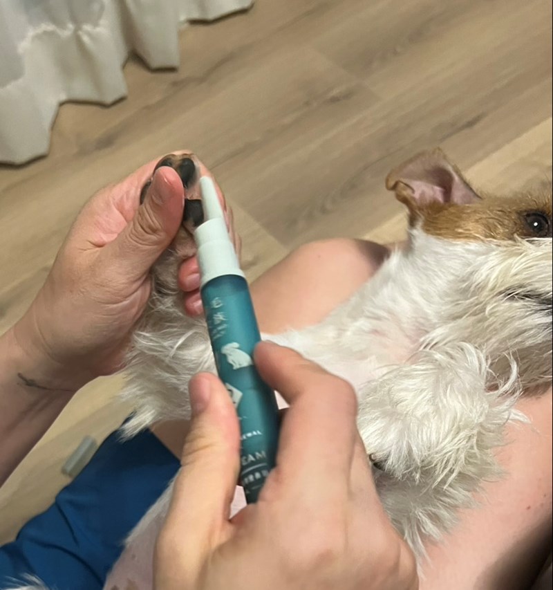 女人知己試用大隊,口碑行銷,部落客行銷,Goodmofamily歸毛家族 寵物肌膚救星組,歸毛家族 寵物肌膚救星,舒敏保濕洗毛乳,護膚噴液,精萃營養霜,博士30年生技專業,給足皮膚營養保護力,無抗生素 無類固醇,神經醯胺,19種綜合胺基酸,榮獲SNQ國家認證,上萬毛爸媽見證,3週幫助皮膚健康,NO.1寵物肌膚口碑霸主,寵物第一護膚領導品牌